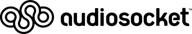 audioSocket