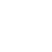 Vice